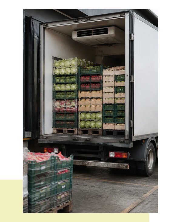 Перевозка плодоовощной продукции оптом напрямую в Мичуринск