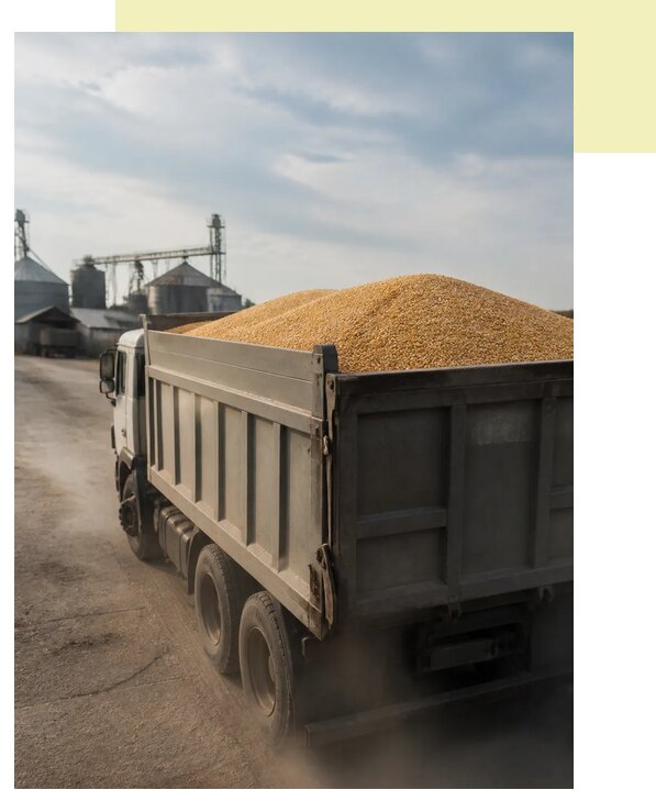Перевозка сельхозпродукции навалом в Мичуринск по цене от 3106 р. | Агросервис-Мчр